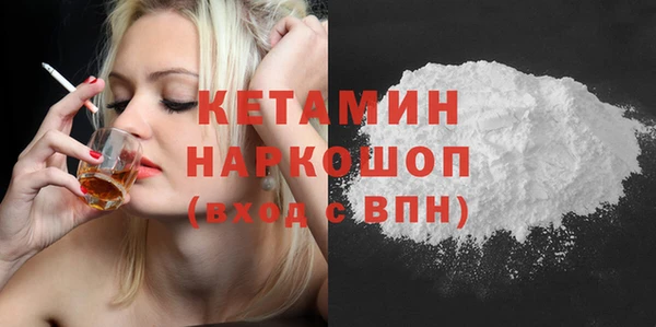 дмт Богданович