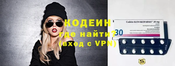 дмт Богданович