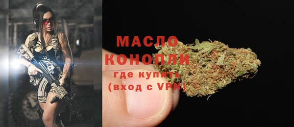 дмт Богданович