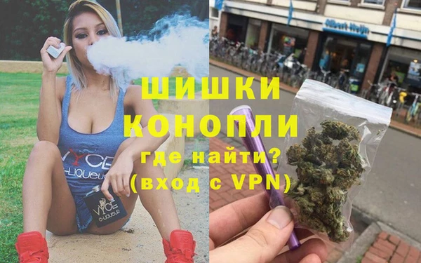 дмт Богданович