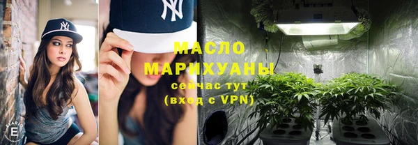 дмт Богданович